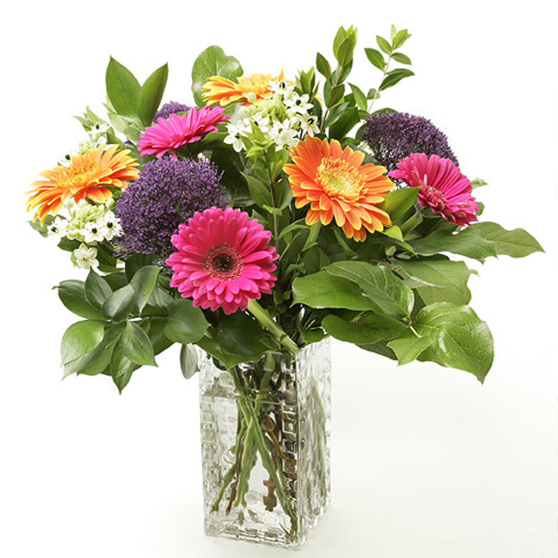 Cheery Gerberas and Seasonal Blooms - Flowers London ON | London's ...