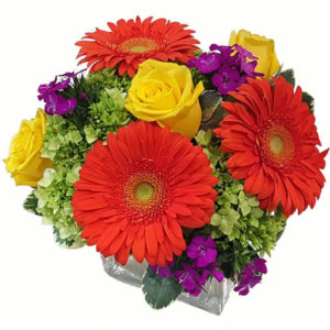 Colorful Gerbera Hydrangea Cube - Flowers London ON | London's ...